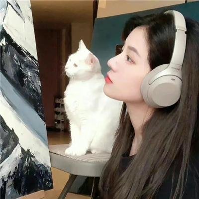 煎饼果子来一套